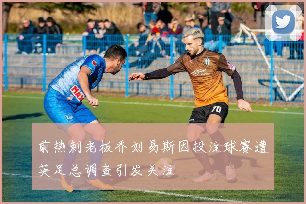 前热刺老板乔刘易斯因投注球赛遭英足总调查引发关注
