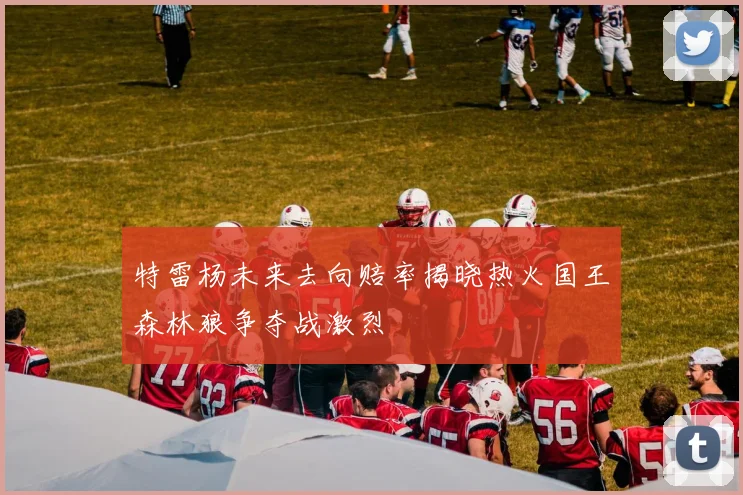 特雷杨未来去向赔率揭晓热火国王森林狼争夺战激烈