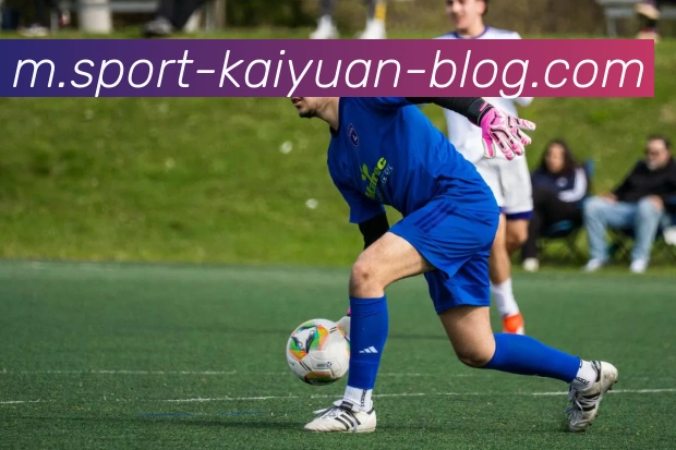 开元体育APP 封面图